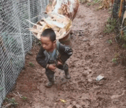人生哪能多如意, 万事只求半称心